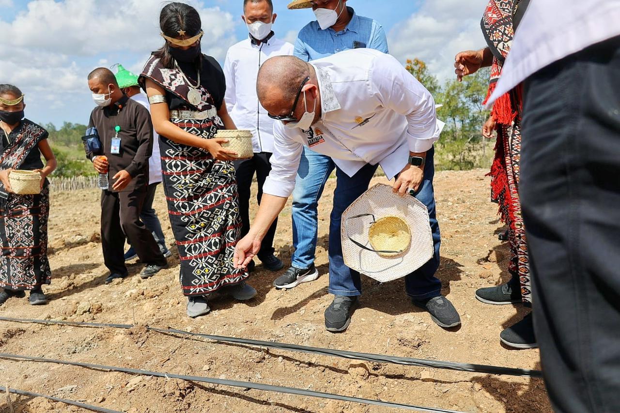 LaNyalla: Impor Bukan Solusi atas Tingginya Harga Jagung 