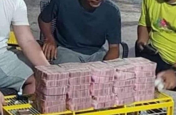 Viral Merpati Dilego Pemilik Miliaran Rupiah, Netizen Melongo