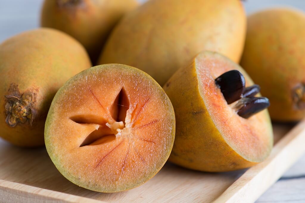 Lima Manfaat Buah Sawo, Yang Harus Anda Ketahui