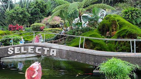 Pengelola Selecta Kota Batu Minta Kelonggaran, Usia 12 Tahun Bisa Masuk Lokasi Wisata