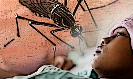Musim Hujan, Masyarakat Tangerang Diimbau Waspadai DBD