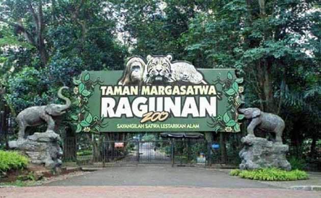 Dibuka Kembali, Pengunjung Kebun Binatang Ragunan Khusus KTP DKI 