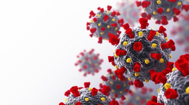 Mengenal Virus Covid-19 dan Penyebarannya