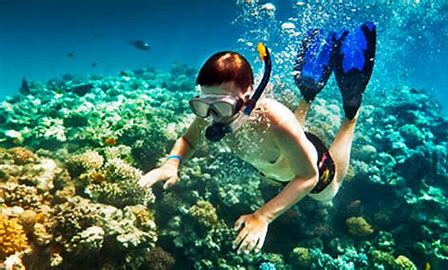 Wajib Dikunjungi! 7 Destinasi Wisata Bawah Laut Terbaik untuk Snorkeling