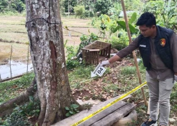 Petani Ditembak dengan Senapan Angin di Kabupaten Aceh Jaya