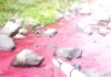 Yang Bikin Air Sungai Cimeta di KBB Berwarna Merah Bisa Kena Pidana