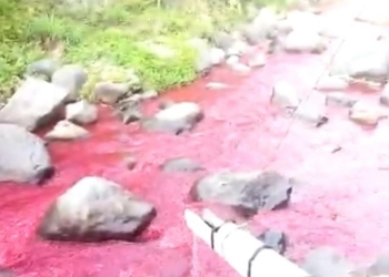 Yang Bikin Air Sungai Cimeta di KBB Berwarna Merah Bisa Kena Pidana