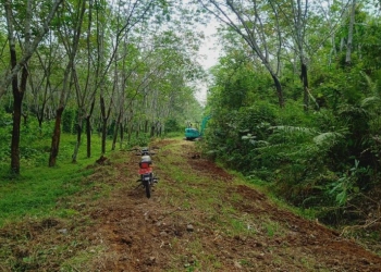 Jalan Petilasan Bung Karno di Desa Bantardawa Ciamis Kembali Dibangun