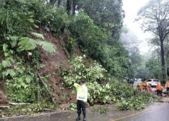 Tebing Longsor di Jalur Gumitir,  Diimbau Pengendara Berhati-hati Jika Melintas