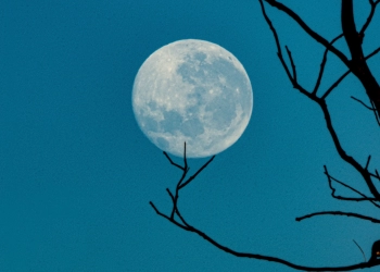 Pedagang Eceran Token Lebih Memilih LUNC daripada LUNA