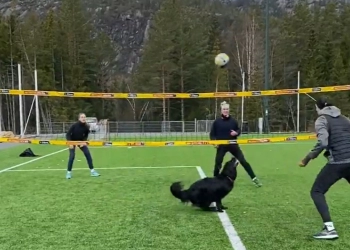 Viral! Anjing Jago Main Bola Voli