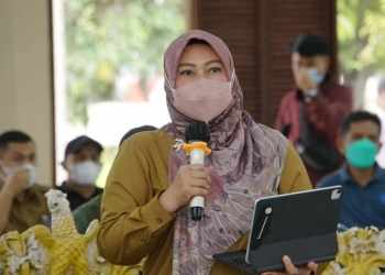 Ancaman Tsunami di Pandeglang Nyata, Alat Deteksi Minim
