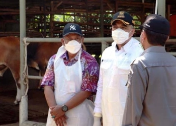 Antisipasi Wabah PMK, Bupati Zaki Tinjau Peternakan Hewan Kurban di Panongan