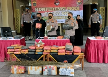 Polda DI Yogyakarta Sita 2 Ton Ganja