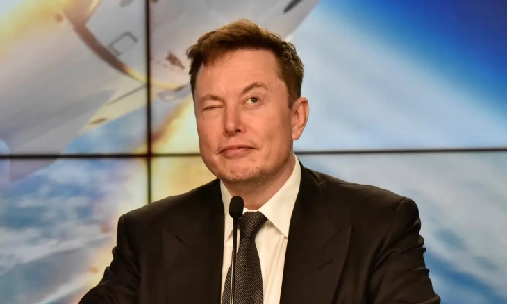 Anak Kembar Elon Musk dari Wanita Pekerjanya