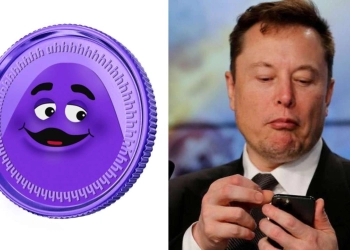 Pertukaran Twitter Elon Musk-McDonald Menyebabkan GrimaceCoin 'Palsu' Melonjak 6000%