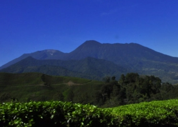 Gunung Gede Pangrango Destinasi Pendakian yang Menantang 