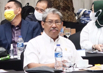 Penerapan Kembali Kebijakan DMO Tak Jamin Turunkan Harga Minyak Goreng