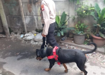 Gerebek Kampung Boncos, Polsek Palmerah Bawa Anjing Pelacak K-9 