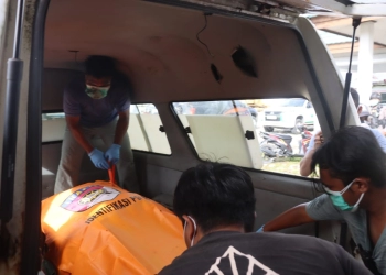 Seorang Diadang dan Dianiaya KKB Sampai Tewas 