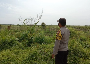 Bhabinkamtibmas Desa Sungai Baru Patroli ke Lahan Rawan Karhutla