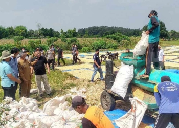 Kakorbinmas Baharkam Polri Studi Banding Tanam Jagung di Lamongan untuk Petani Papua