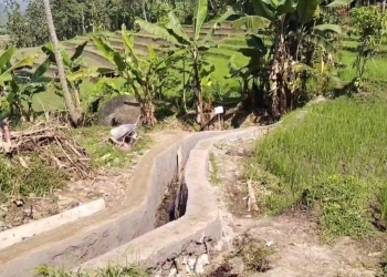 Program Peningkatan Irigasi Kementrian PUPR, Penerima Wajib Setor 25 Persen ke Pengusung