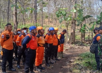 Cari Istrinya ke Sawah, Suami Malah Hilang di Hutan