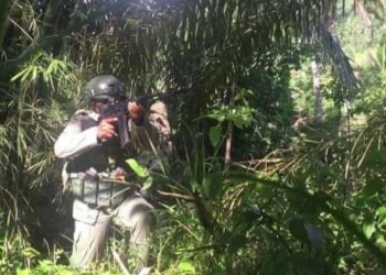 Terduga Teroris Poso Tewas Tertembak di Kebun