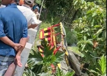 Kereta Kelinci Bawa 40 Orang Terperosok ke Parit, Dua Tewas
