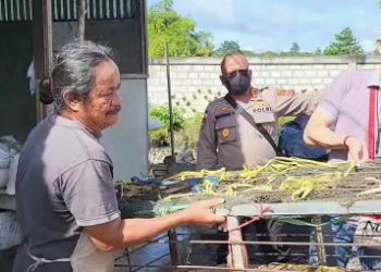 Satgas Operasi Damai Cartenz Berikan Bantuan 30 Ekor Bibit Babi untuk Warga Kabupaten Yahukimo