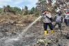 15 Hektare Lahan Gambut Terbakar di Rohil, Polisi Selidiki Pelaku dan Pemilik Lahan