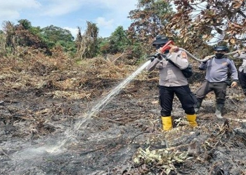 15 Hektare Lahan Gambut Terbakar di Rohil, Polisi Selidiki Pelaku dan Pemilik Lahan