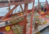 KKP Tangkap 2 Kapal Ikan Asing Berbendera Vietnam