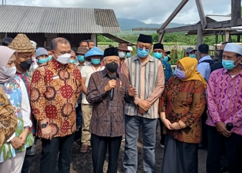 Ma’ruf Amin Pastikan Wabah PMK Terkendali