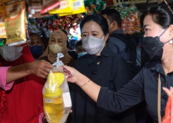 DPR Minta Pemerintah Lakukan Pemantauan Ketat HET Minyak Goreng