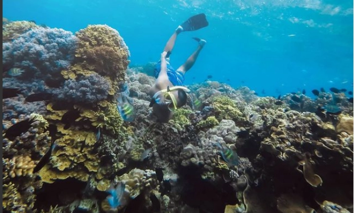 Pulau Bunaken, Keindahan 'Surga' Alam Bawah Laut Manado