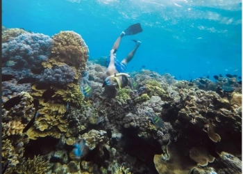 Pulau Bunaken, Keindahan 'Surga' Alam Bawah Laut Manado