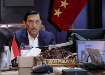 Waspada, Luhut: Puncak Omicron Diprediksi Terjadi Awal Februari