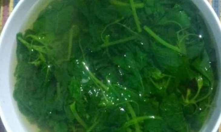Sayur Bayam Sehat, Asal Jangan Berlebih, Ini Bahayanya