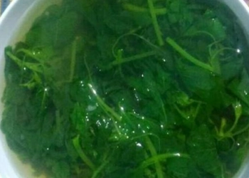 Sayur Bayam Sehat, Asal Jangan Berlebih, Ini Bahayanya