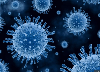 Waspadai 3 Gejala Norovirus Akibat Gigitan Serangga, Cirinya Diare dan Muntah 
