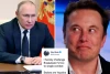Elon Musk Dukung Ukraina, Tantang Vladimir Putin untuk Bertarung Tunggal 