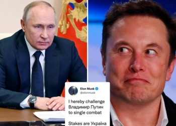 Elon Musk Dukung Ukraina, Tantang Vladimir Putin untuk Bertarung Tunggal 