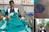 Viral, Pawang Ular Karnataka Atraksi dengan 3 Kobra Berakhir Tragis