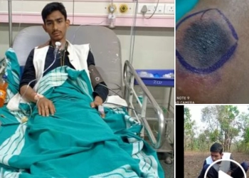 Viral, Pawang Ular Karnataka Atraksi dengan 3 Kobra Berakhir Tragis