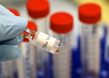 Waspada, Para Ahli Bicara Virus Zika: Ribuan Bayi Alami Kerusakan otak