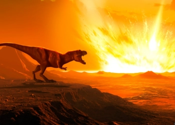 Ahli Purbakala: Dinosaurus 66 Juta Tahun Lalu Musnah Dihantam Asteroid 