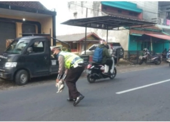 Menolong Kucing, Anggota Satlantas Polres Tasikmalaya Nyaris Tertabrak Mobil 