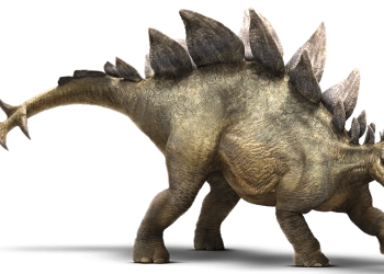 Stegosaurus, Spesies Dinosaurus Baru Tertua Ditemukan di Asia